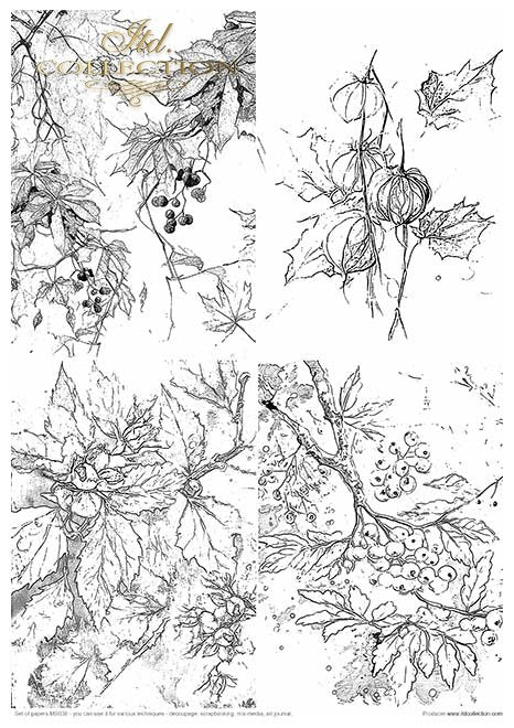 ITD Collection - Autumn Love Story Creative Set