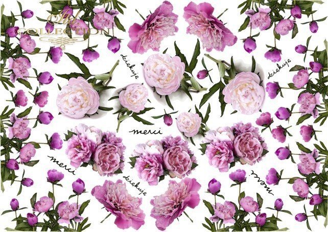 ITD Collection - Purple Peonies - Classic Paper