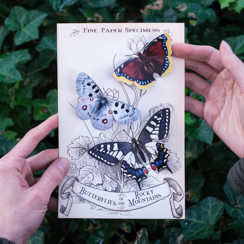 Moth and Myth - "Rocky Mountains" 3 Piece Butterfly Set