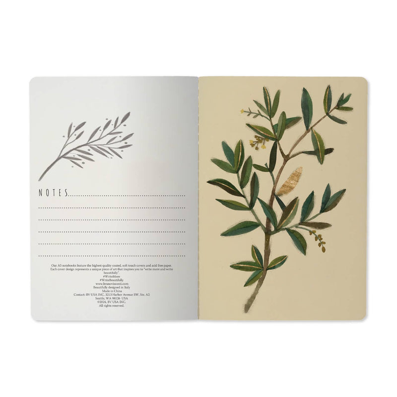 BV by Bruno Visconti - Notebook - Olive 