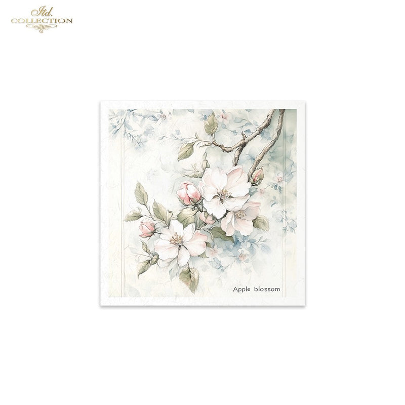 ITD Collection - Rice Paper Set Mini - Floral Shabby Chic - RSM176