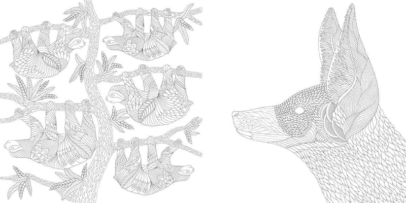 Millie Marotta - Brilliant Beasts Coloring Book