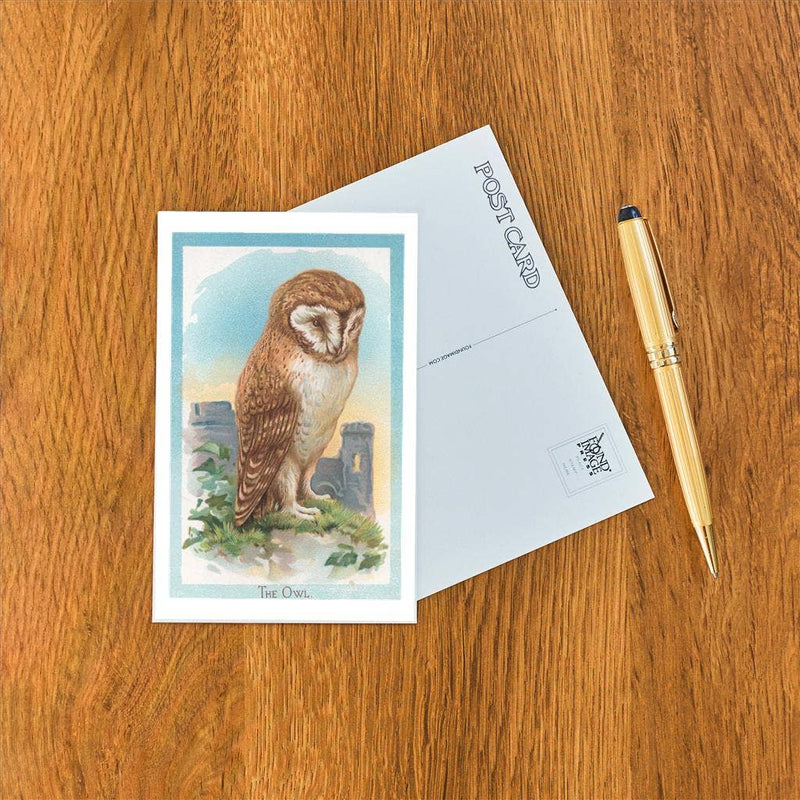 Found Image Press - Postcard - Barn Owl