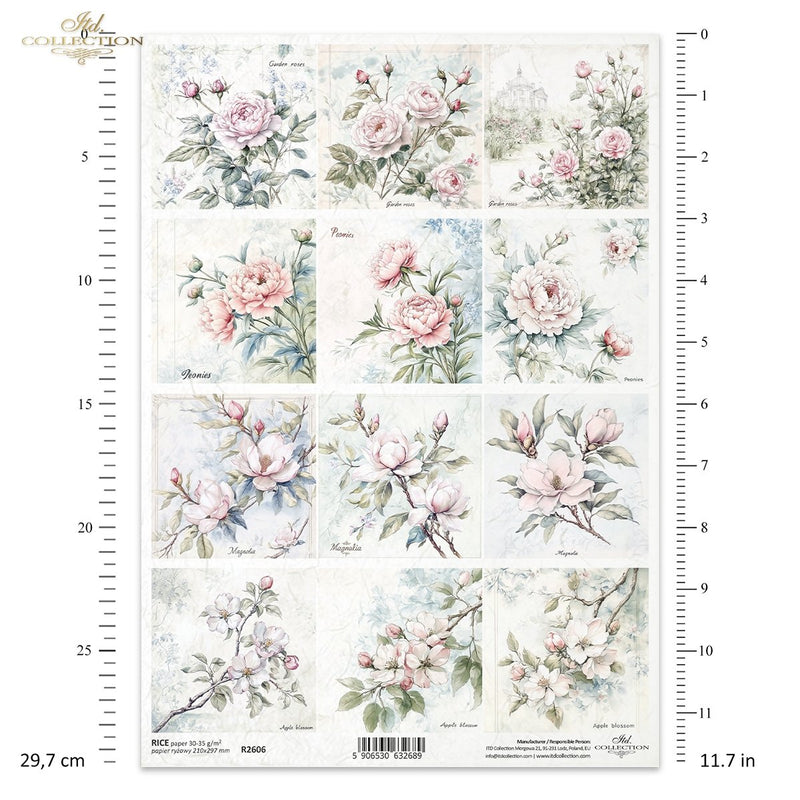 ITD Collection - Floral Shabby Chic - Rice Paper - R2606