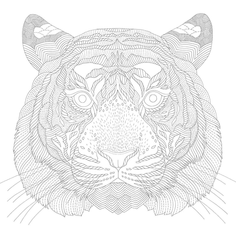 Millie Marotta - Animal Adventures Coloring Book