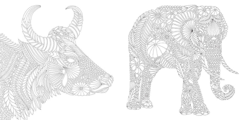 Millie Marotta - Brilliant Beasts Coloring Book