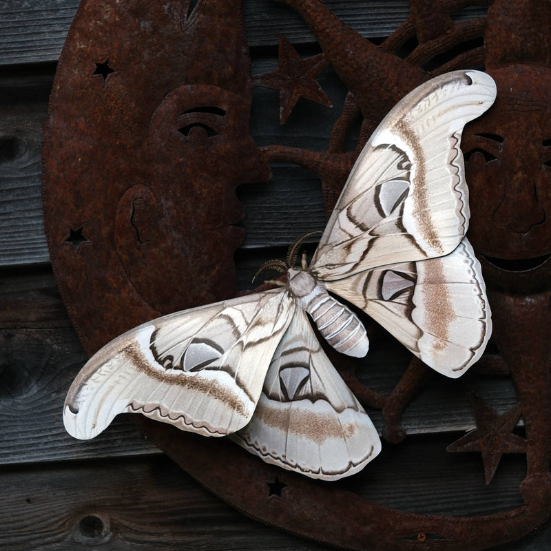 Moth and Myth - Ghost Atlas Moth Paper Replica