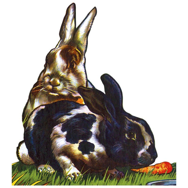 Laughing Elephant - Easter Rabbit - Holiday Sticker Box