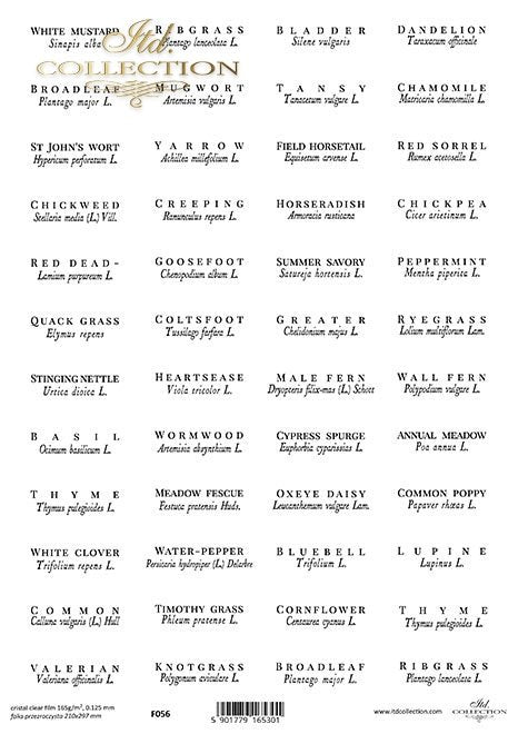 ITD Collection - Herbs Clear Film