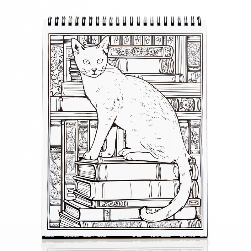 Conquest Journals - Waiting For the Night Coloring Book