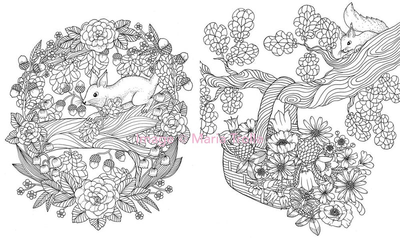 Maria Trolle - Twilight Garden Coloring Book