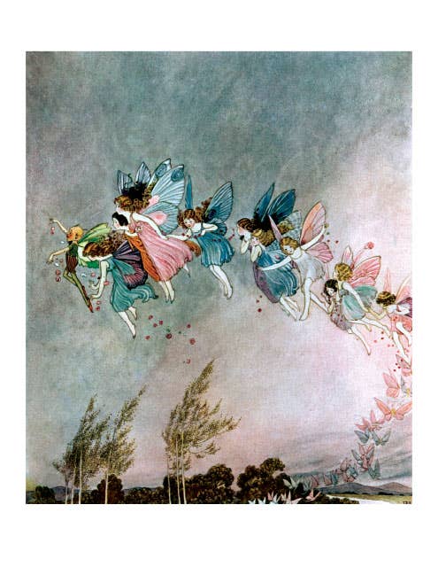 Laughing Elephant - Fairies - Print Portfolio