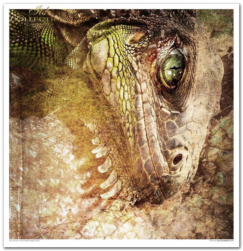 ITD Collection - An Undiscovered Magical World Scrapbooking Papers