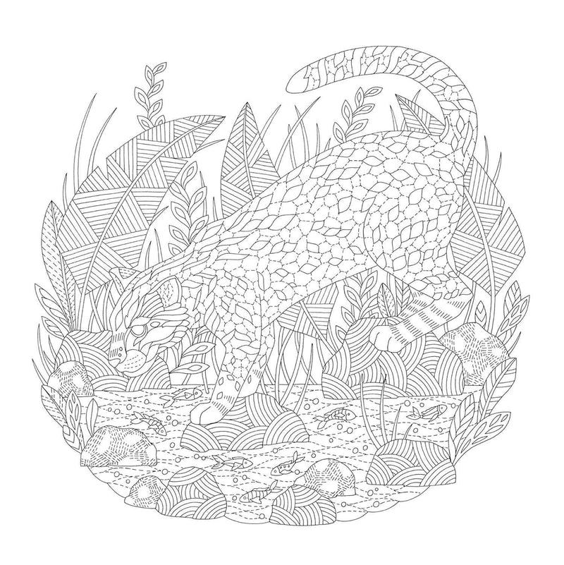 Millie Marotta - Animal Adventures Coloring Book