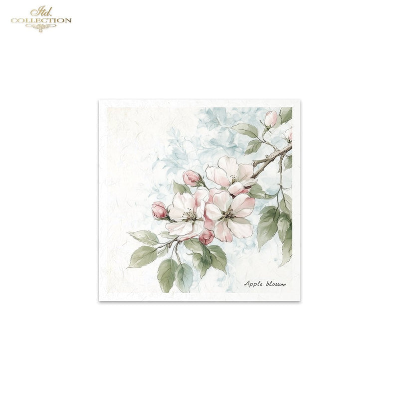 ITD Collection - Rice Paper Set Mini - Floral Shabby Chic - RSM176