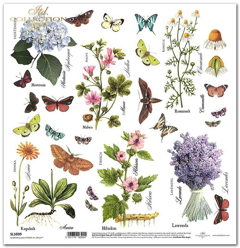 ITD Collection - Herbarium - Botanical Illustrations & Moths - Scrapbooking Single Sheet