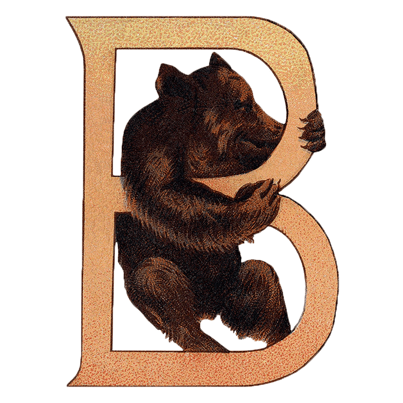 Animal Alphabet - Everyday Sticker Box - Root & Company