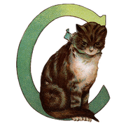 Animal Alphabet - Everyday Sticker Box - Root & Company