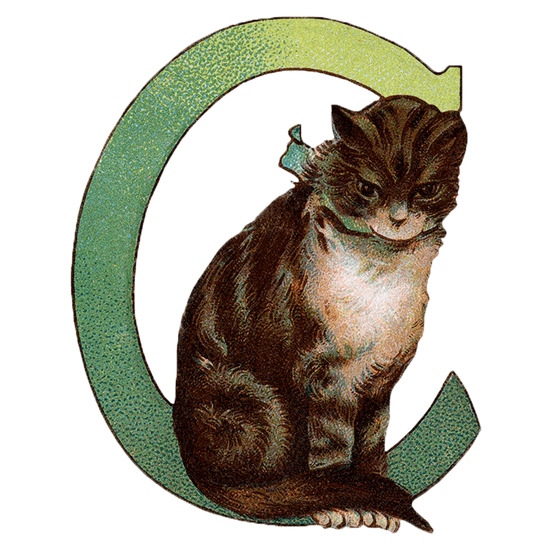 Animal Alphabet - Everyday Sticker Box - Root & Company