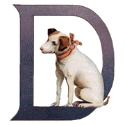 Animal Alphabet - Everyday Sticker Box - Root & Company