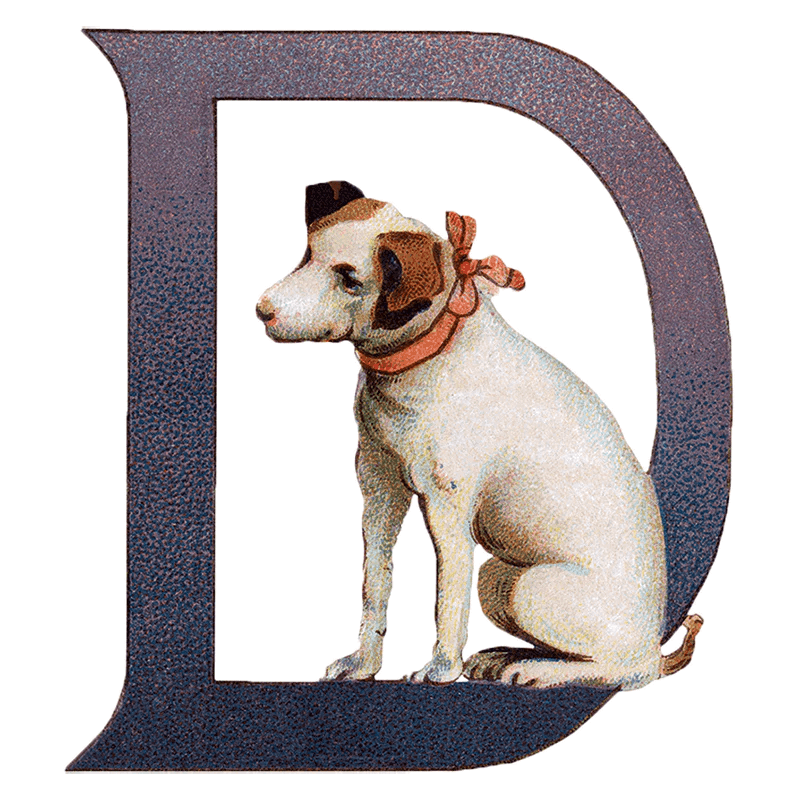 Animal Alphabet - Everyday Sticker Box - Root & Company