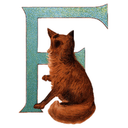 Animal Alphabet - Everyday Sticker Box - Root & Company