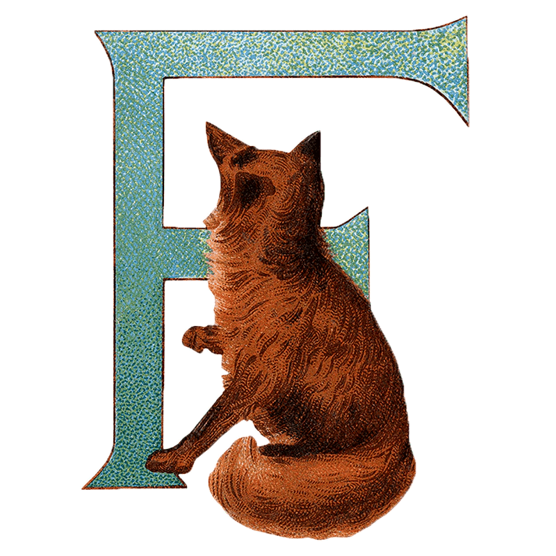 Animal Alphabet - Everyday Sticker Box - Root & Company