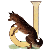 Animal Alphabet - Everyday Sticker Box - Root & Company