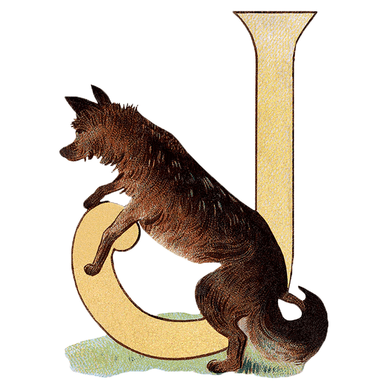 Animal Alphabet - Everyday Sticker Box - Root & Company