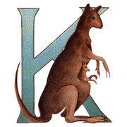 Animal Alphabet - Everyday Sticker Box - Root & Company