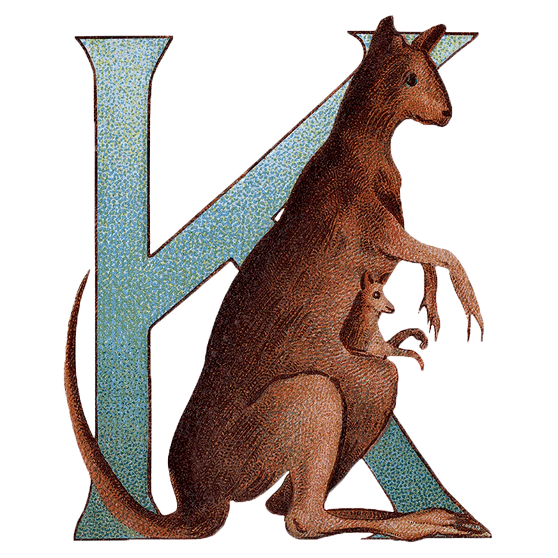 Animal Alphabet - Everyday Sticker Box - Root & Company