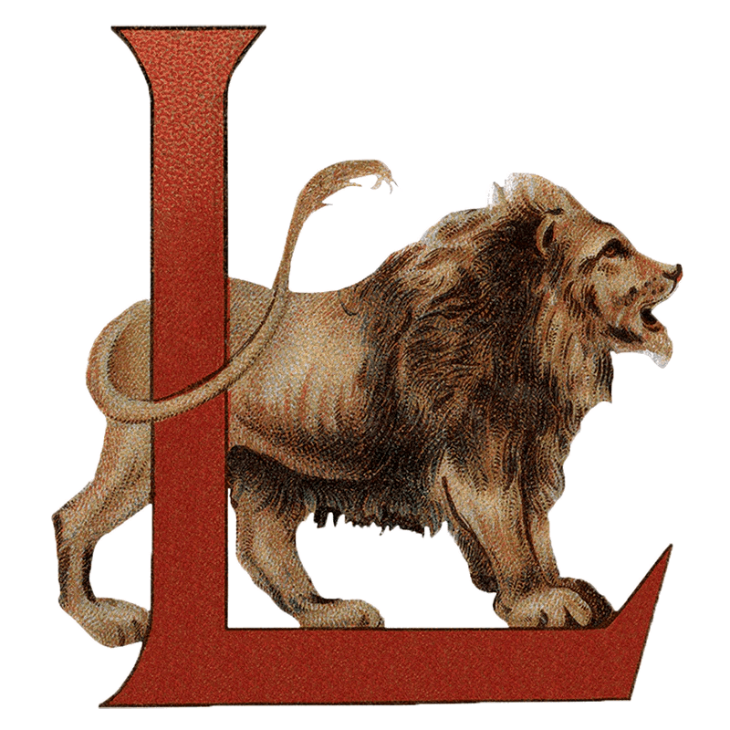 Animal Alphabet - Everyday Sticker Box - Root & Company