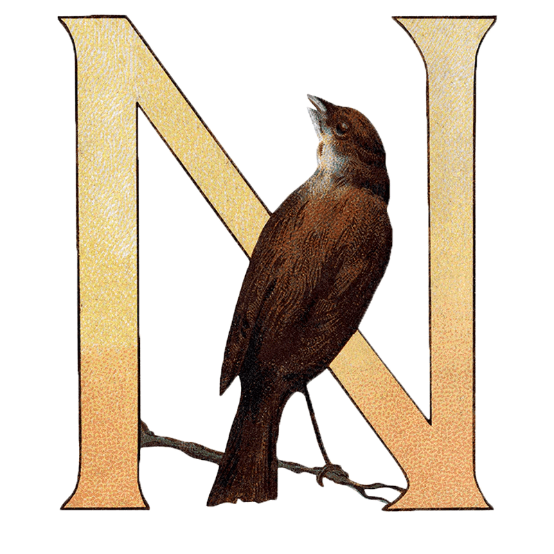 Animal Alphabet - Everyday Sticker Box - Root & Company