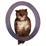 Animal Alphabet - Everyday Sticker Box - Root & Company