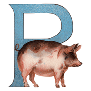 Animal Alphabet - Everyday Sticker Box - Root & Company