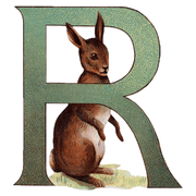 Animal Alphabet - Everyday Sticker Box - Root & Company