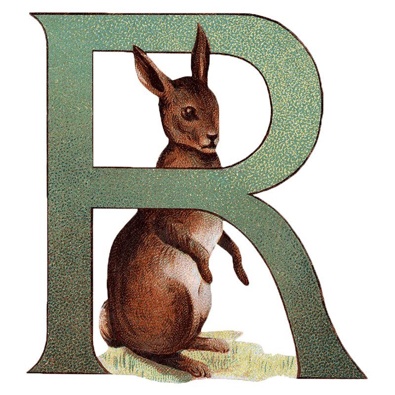 Animal Alphabet - Everyday Sticker Box - Root & Company