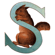 Animal Alphabet - Everyday Sticker Box - Root & Company