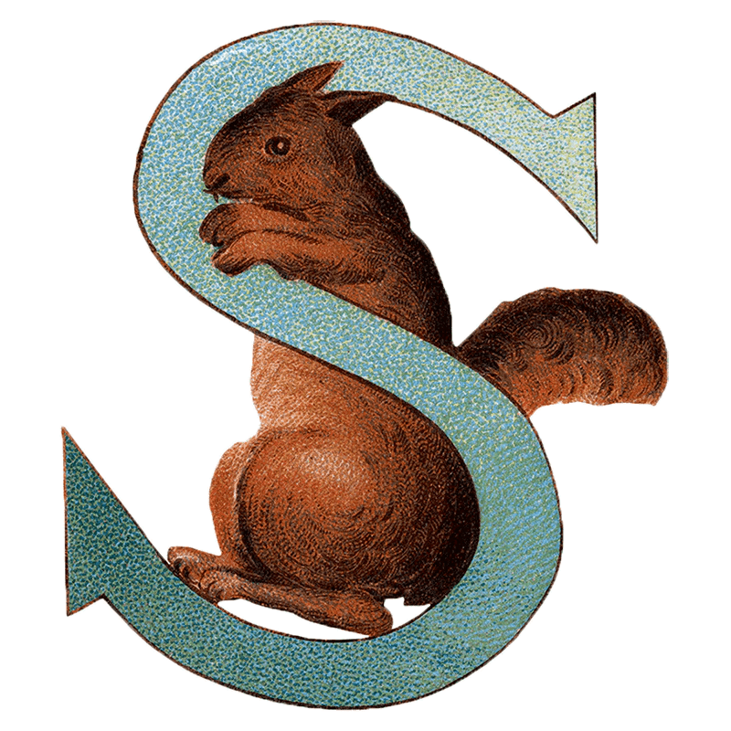 Animal Alphabet - Everyday Sticker Box - Root & Company