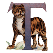 Animal Alphabet - Everyday Sticker Box - Root & Company