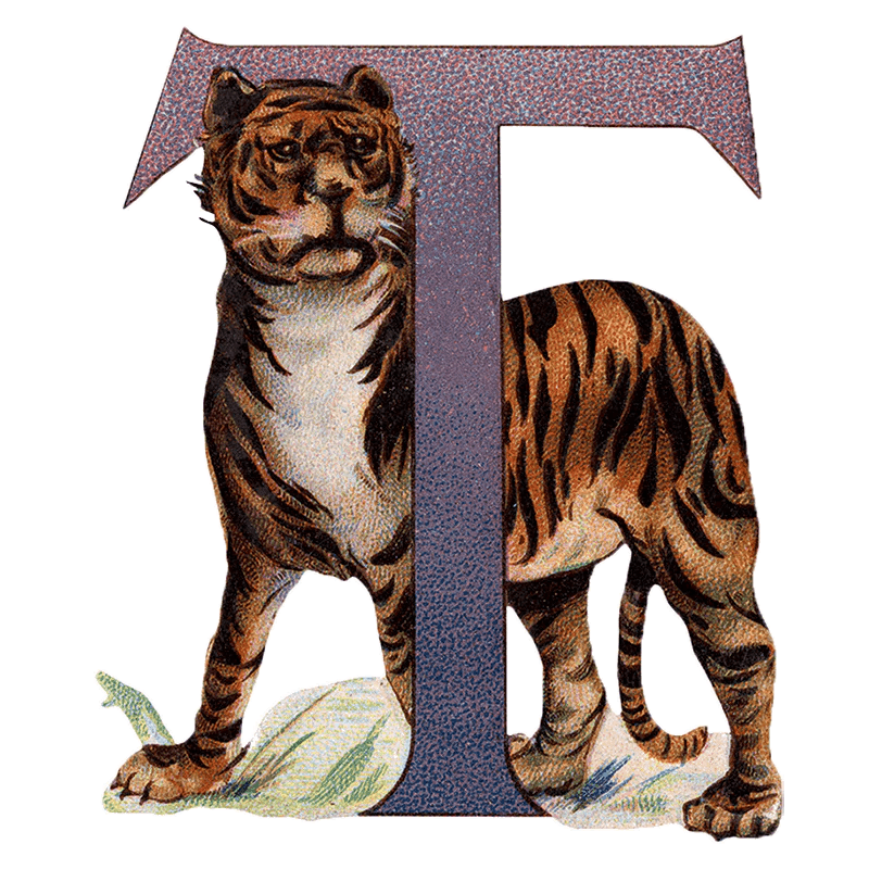 Animal Alphabet - Everyday Sticker Box - Root & Company