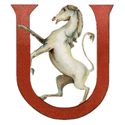 Animal Alphabet - Everyday Sticker Box - Root & Company