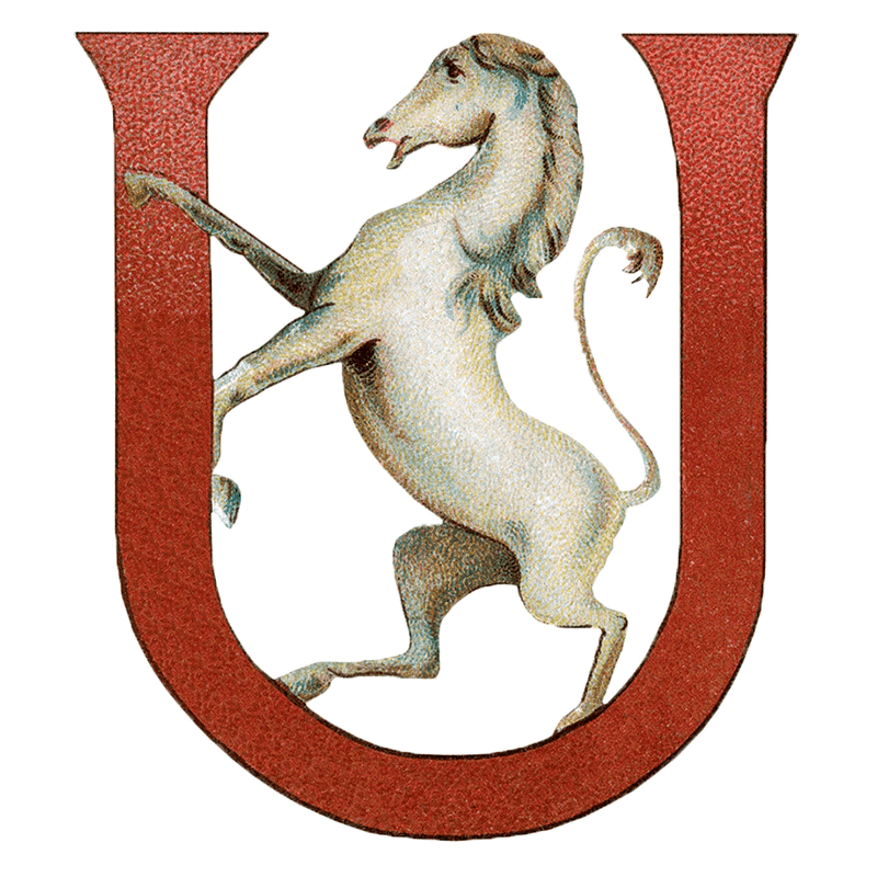 Animal Alphabet - Everyday Sticker Box - Root & Company