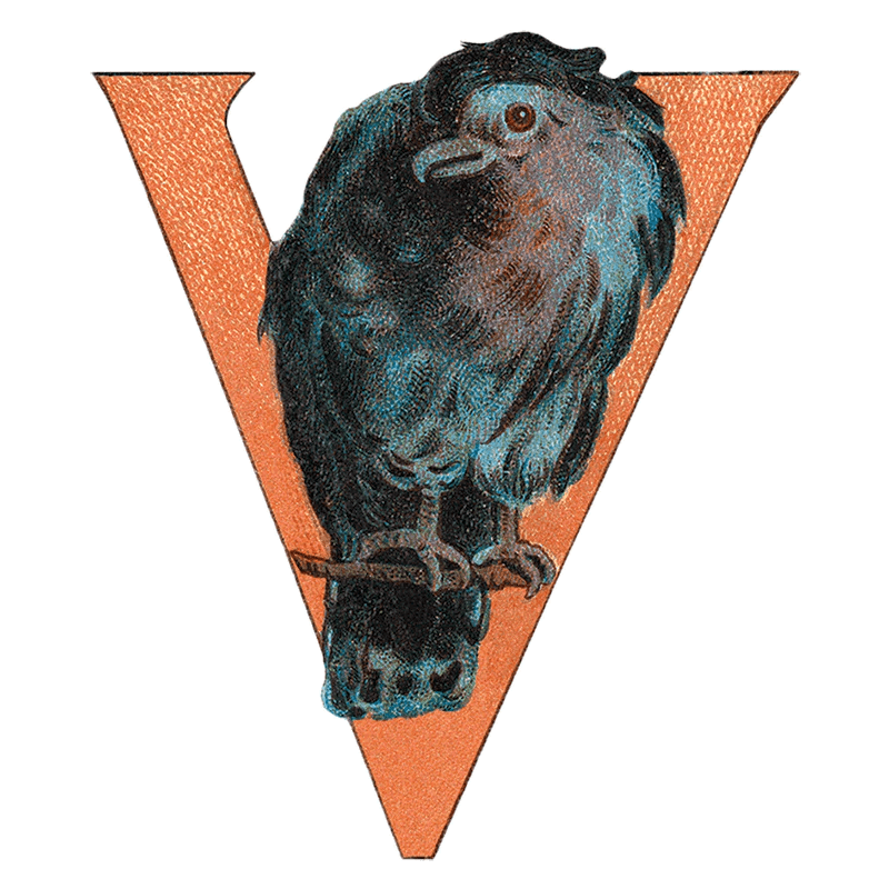 Animal Alphabet - Everyday Sticker Box - Root & Company