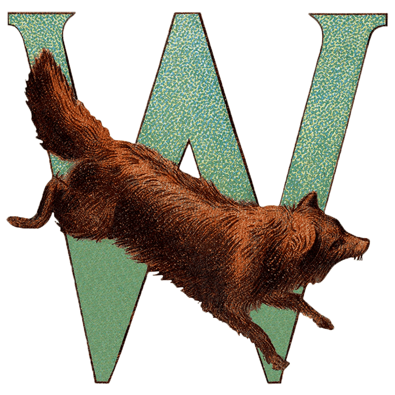 Animal Alphabet - Everyday Sticker Box - Root & Company