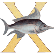 Animal Alphabet - Everyday Sticker Box - Root & Company