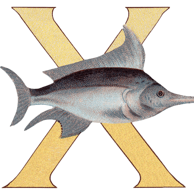 Animal Alphabet - Everyday Sticker Box - Root & Company