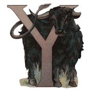 Animal Alphabet - Everyday Sticker Box - Root & Company