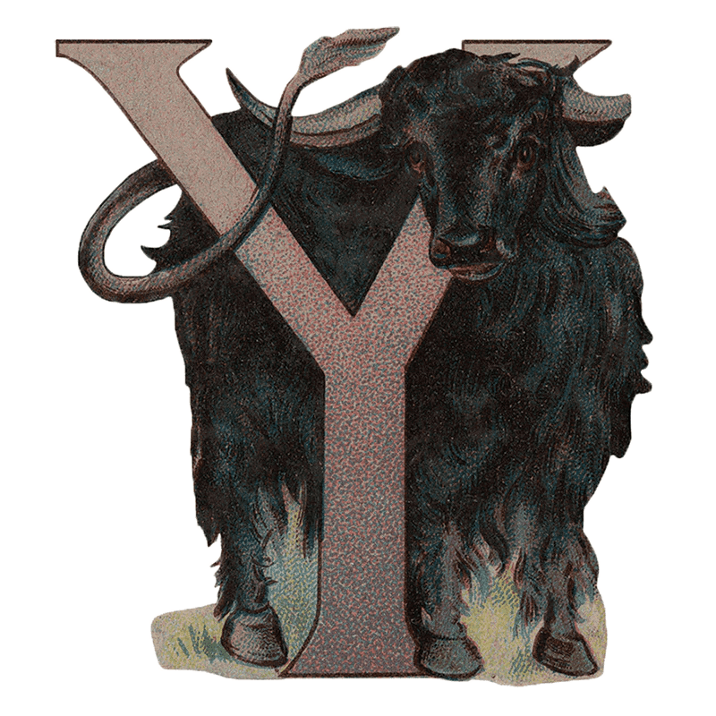 Animal Alphabet - Everyday Sticker Box - Root & Company