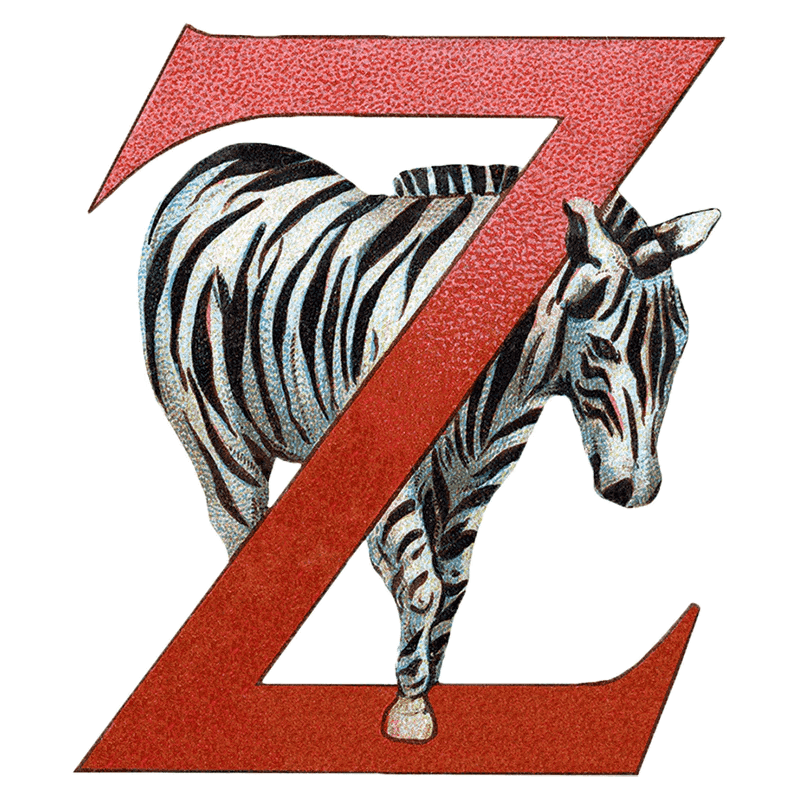 Animal Alphabet - Everyday Sticker Box - Root & Company